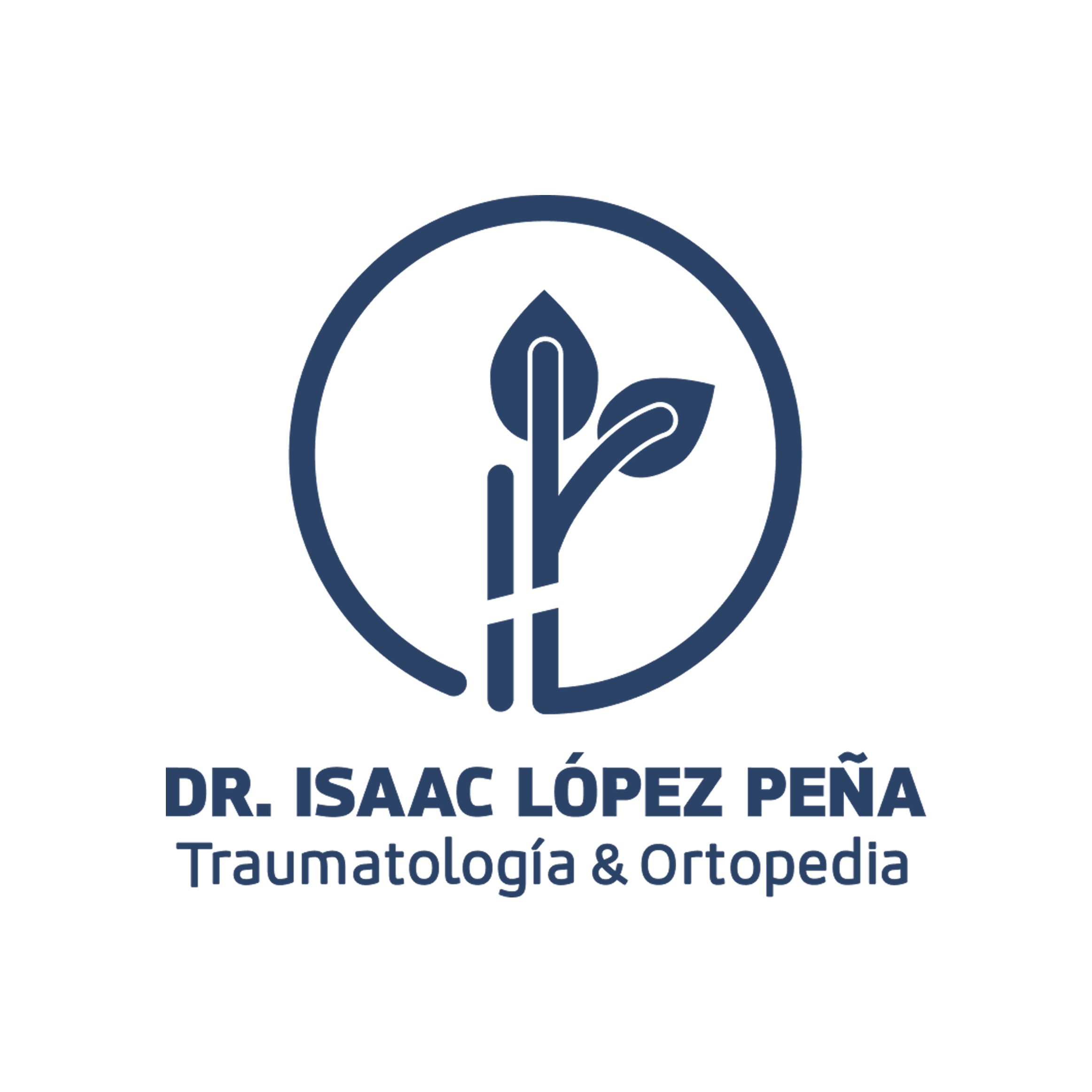 Diseño de página web