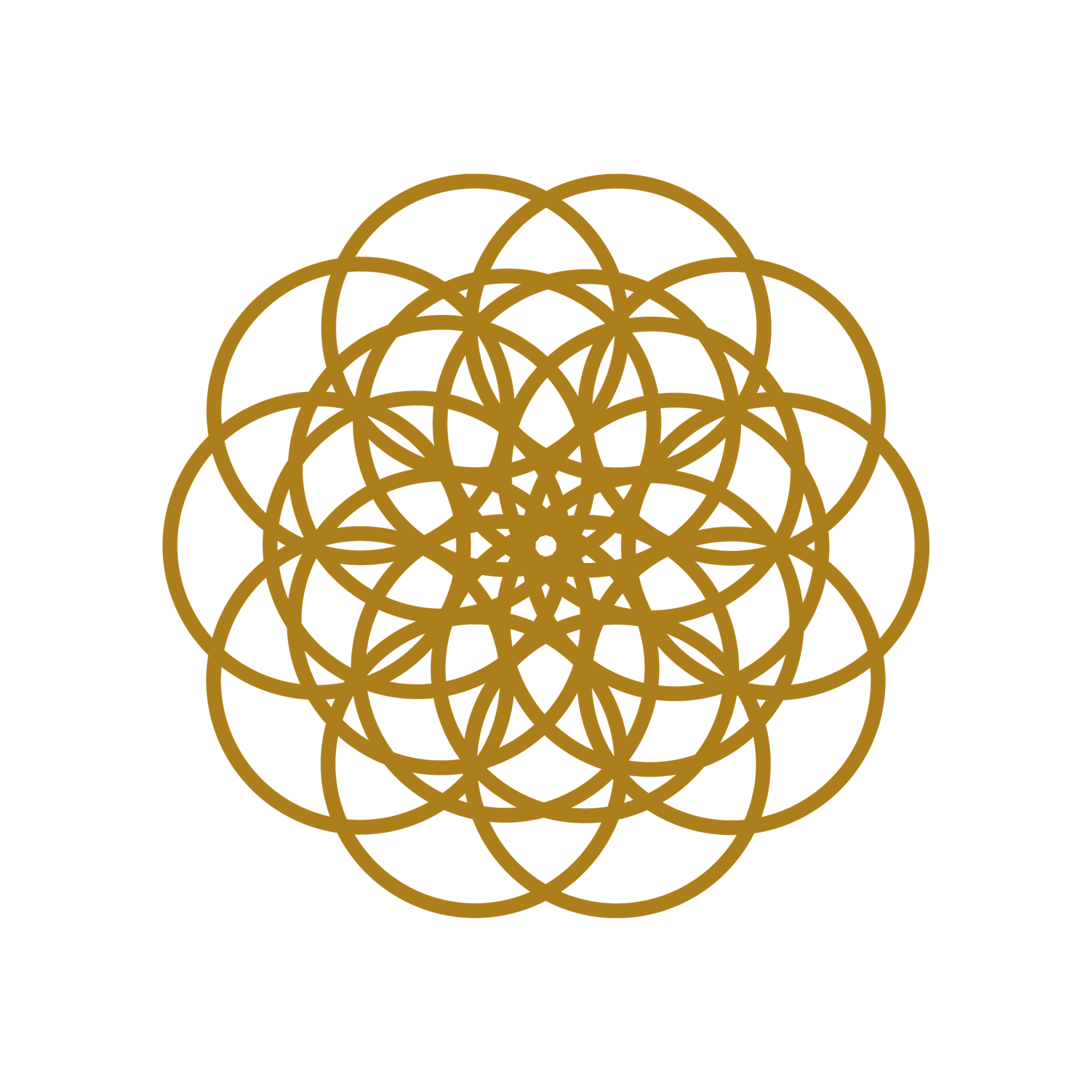 Diseño de página web